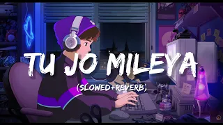 Tu Jo Mileya 💝  [ LO-FI Version ] {SLOWED+REVERB}❤️‍🩹| Tarun's Lo-Fi Music | #sad #lofi #music #song