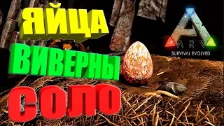 Кража оплодотворённых яиц виверны в соло ARK Survival Evolved