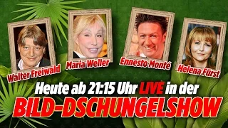 Walter Freiwald, Annemarie Weller, Helena Fürst, Ennesto Monte  - BILD-Dschungel-Show 21.01.17 Tag 9