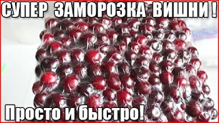 КАК ЗАМОРОЗИТЬ ВИШНЮ НА ЗИМУ. Супер способ. Быстро и просто! Ягодка к ягодке.