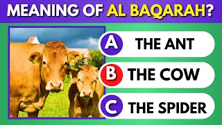 Surah Al Baqarah Quiz Trivia | Islam Quiz