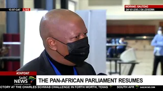 Pan-African Parliament I Mali MP threatened to kill me, so I reacted that I will kill him: Malema