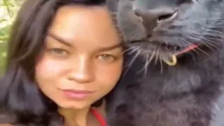 Russian girl adopts "Black Panther" as a kitten 🐈 Video Viral on social media