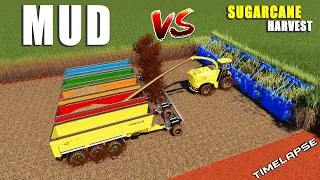 MUDDY FIELD vs SUGARCANE HARVESTER & BALER! -TimeLapse | Farming Simulator 19