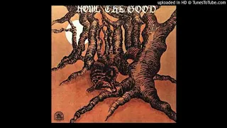 Howl The Good -  Ain't hard to stumble (1972)  (VO de 'Tomber c'est facile' de  Johnny Hallyday)