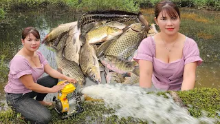 The puddle is full of fish. The girl uses a machine to drain the water to catch fish.