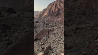 Breathtaking Experience with CAMEL RIDE on MT SINAI #shorts #travel