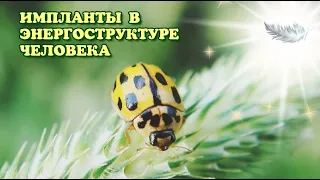 Импланты в энергоструктуре человека🧍#4d #переход #осознанность