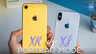 Apple iPhone XR vs XS: Night-time Portrait Comparison