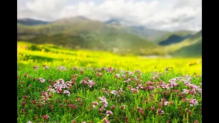 Загадки про Весну,  на українській мові. #загадки ЗАГАДКИ для дітей. @MelaniaHoloshchakUA