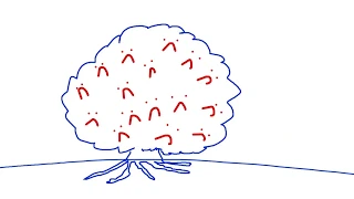 Comprends ta personnalité avec la métaphore de l'arbre - Psykonnaissance #13