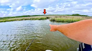 Catch MORE! Saltwater Fish Using THIS Technique! *EASY Fishing*