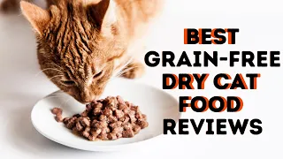 BEST GRAIN FREE DRY CAT FOOD REVIEWS | TOP 10