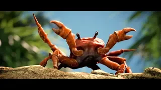 haha crab dance