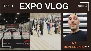 NY Reptile Expo VLOG! Vendor Spot Light and Important Expo Tips!