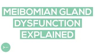Meibomian Gland Dysfunction (MGD) | Here’s What You Need To Know About MGD