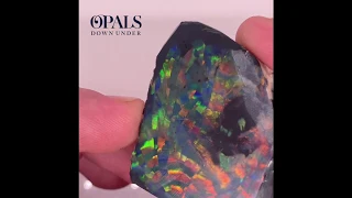 Cutting a Harlequin Black Opal