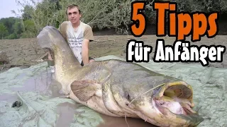 5 Tipps für Anfänger beim Wallerangeln