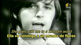 Good Vibrations - The Beach Boys (LYRICS/LETRA)