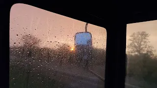 🌧️ Дочекались дощу 🌧️