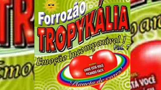 Sem você -- Forrozão Tropykália -- forró antigo