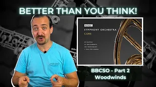 Spitfire BBCSO Core In-Depth Part 2: The Woodwinds Section