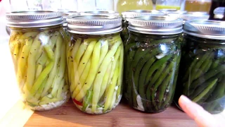 Fermented Green & Yellow Wax Beans