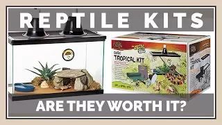 Should you buy Reptile Starter Kits? Are they Worth the Money?