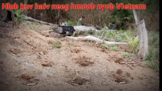 Pom kuv haiv hmoob Vietnam txom nyem - Tsav Yias.