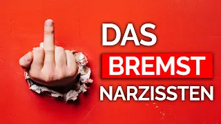 Sag DAS, wenn ein Narzisst dich erniedrigt (3 Wörter, klappt immer!)