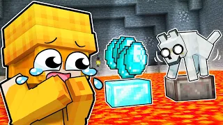 INFINITE DIAMONDS or PETS in Minecraft?