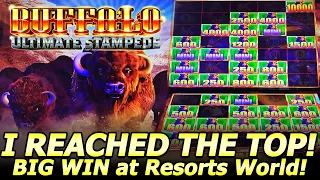 I Reached The Top! Big Win! Buffalo Ultimate Stampede Wasn't Done Paying at Resorts World in Vegas!