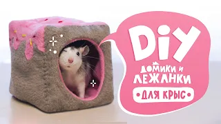DIY | How to make houses and hammocks for rats