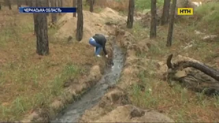 В Черкасской области, посреди леса, появилась река с нечистотами