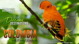 Webinar: Colombia with Forrest Rowland