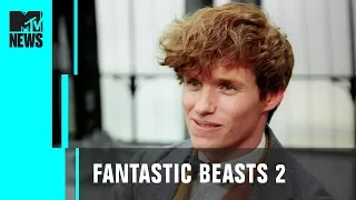 Eddie Redmayne & 'Fantastic Beasts 2' Cast Take You BTS | MTV News