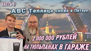 2 миллиона рублей на тюльпанах в 14 лет прямо в гараже! Часть 2. ABC Теплица держит свое слово!