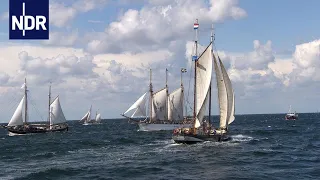 Stress für Schlepper zur Hanse Sail | die nordreportage | NDR Doku