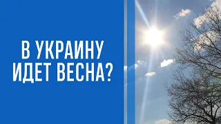 В Украину идет весна? Синоптик прогнозирует потепление до +13 градусов