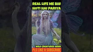 असली परियां आपने कभी देखा है real life fairy #shorts#wildcreatureshindi