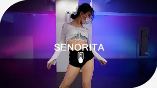 Shawn Mendes, Camila Cabello - Señorita l PIA (Choreography)