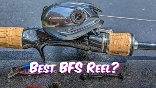 Should a Beginner Buy the 22 Shimano Aldebaran?  Long Term BFS Reel Review