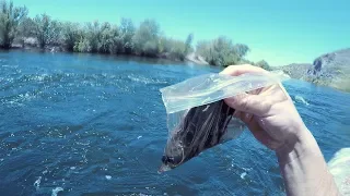 I Found a FULL Plastic Baggie Underwater in the River! (Returned to Owner - Amazing Reaction!)