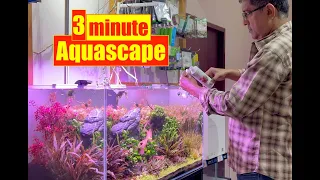 3 Minute Aquascape | Nature Aquarium  | Mayur Dev Aquascaper | Planted Aquarium | Aqua Zones 4K