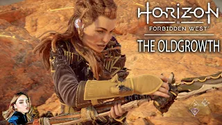 Errand Quest The Oldgrowth - Very Hard | Horizon Forbidden West PS5 2K 60 4K