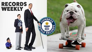 Tallest Meets Shortest and Skateboarding Bulldogs | Records Weekly - Guinness World Records