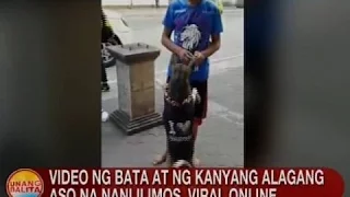 UB: Video ng bata at ng kanyang alagang aso na nanlilimos, viral online