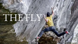 The Fly v13