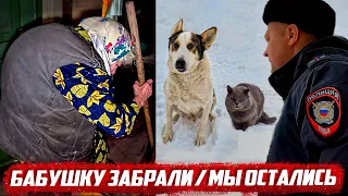 Что будет с бабушкой и животными дальше? | Орловская обл, Малоархангельский р/н д.Васютино