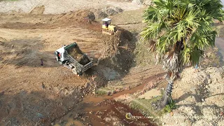 Nice Action Showing Bulldozer Pushing Clearing Land With Mini Dump Trucks Unloading Dirt
